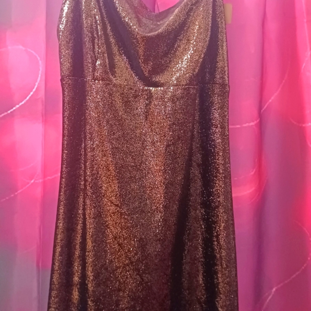Perfect Evening dress. Perfect for fall or winter.